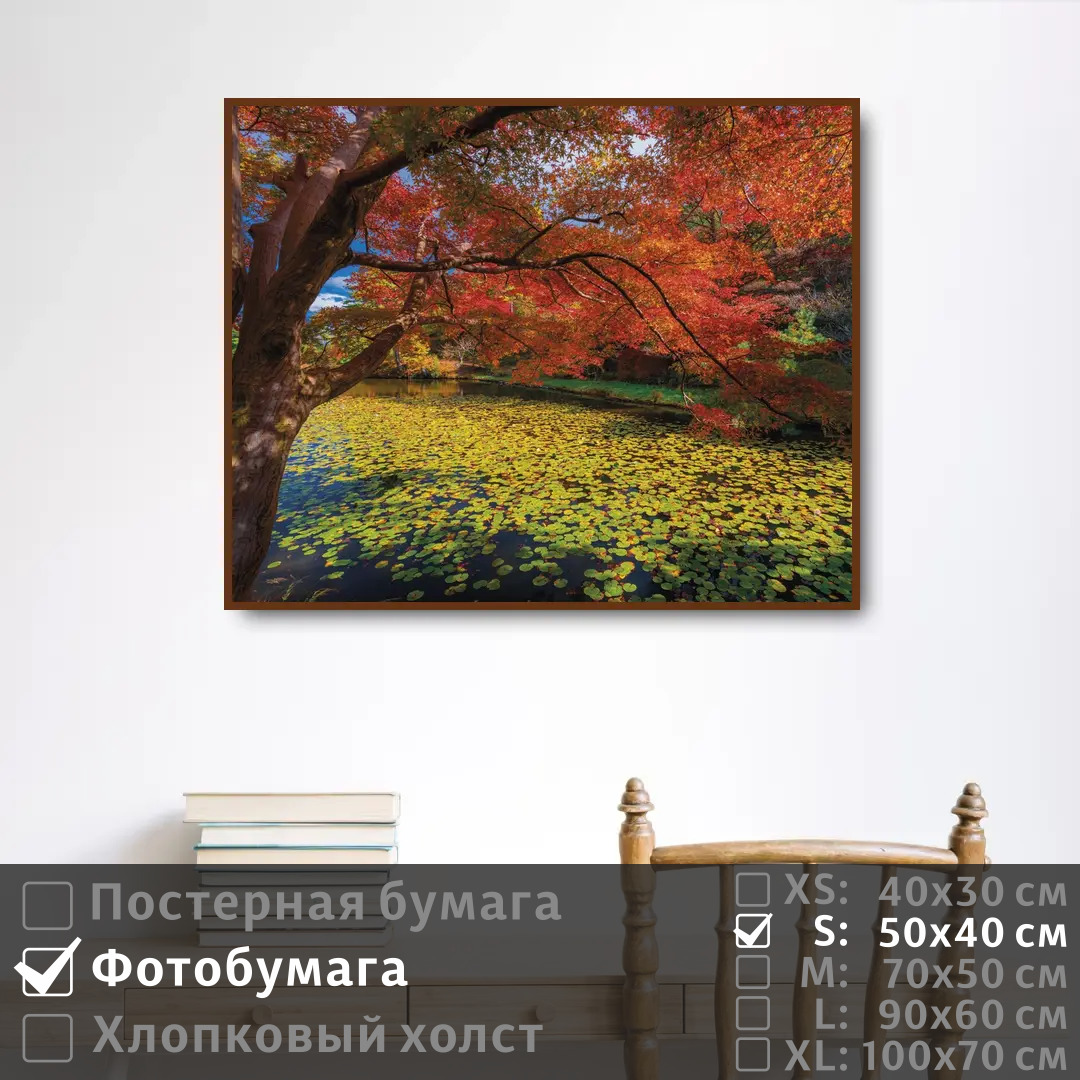 

Постер на фотобумаге ПолиЦентр Красочное осеннее дерево 50х40 см, КрасочноеОсеннееДерево