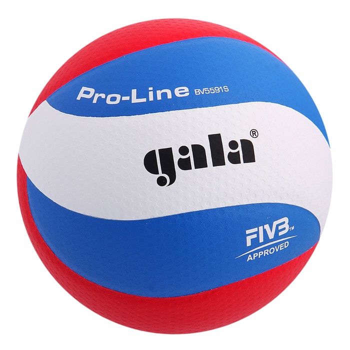 фото Мяч волейбольный gala pro-line 10 fivb, bv5591s, размер 5, клееный kid galaxy