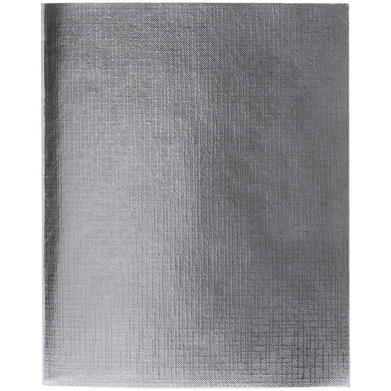 

Тетрадь общая в клетку Hatber Metallic Серебро 48Т5бвВ1, 48 л., 1 шт.