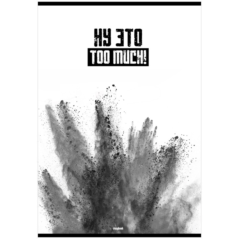

Тетрадь BG Т4ск80 8004 на скрепке A4 клетка 80 листов 1 шт, Too much!