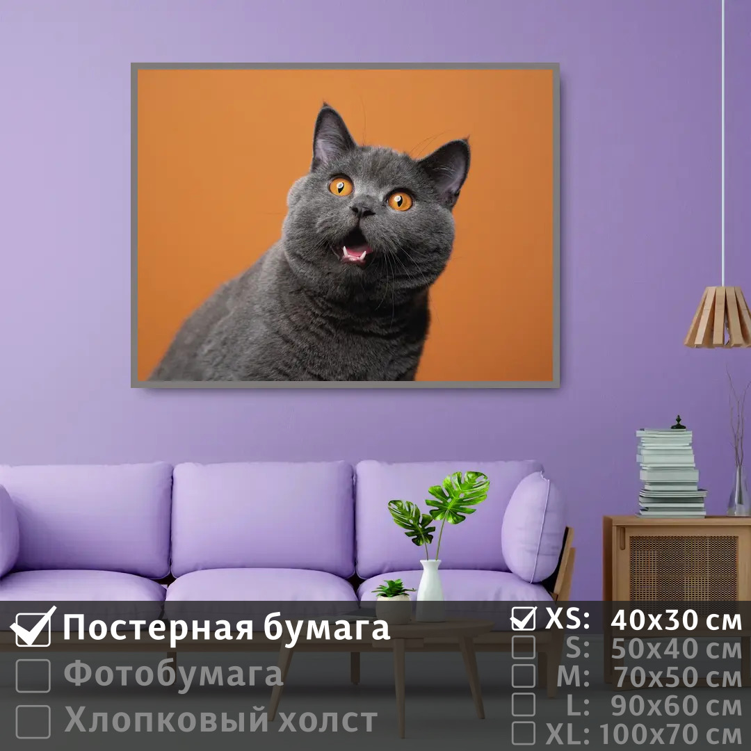 

Постер на стену ПолиЦентр Серый британский кот 40х30 см, СерыйБританскийКот