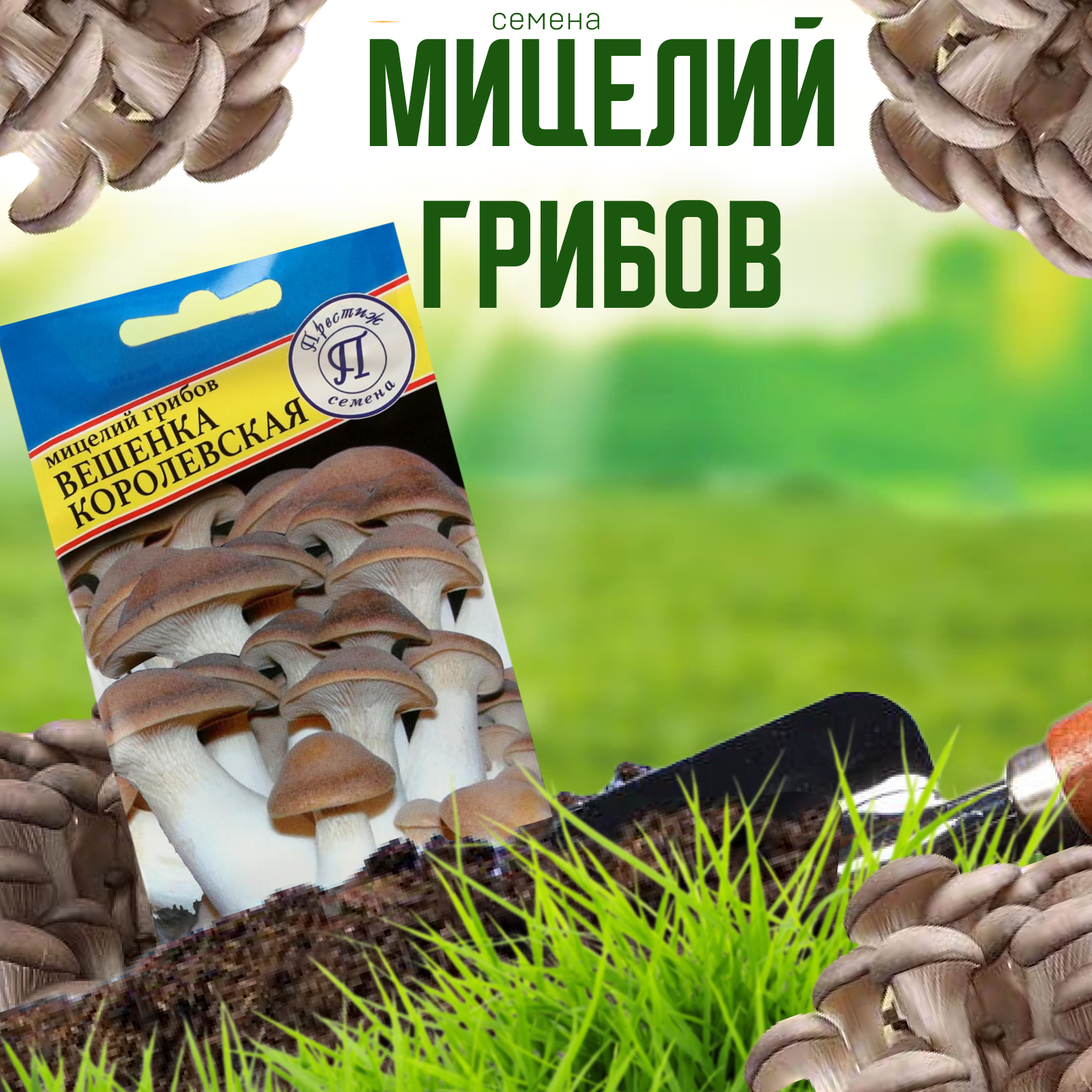 Мицелий грибов Вешенка королевская, 12 шт