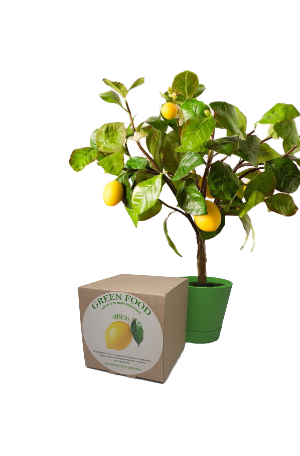 

Набор для выращивания лимон. Green food. сорт майер, Green10BL