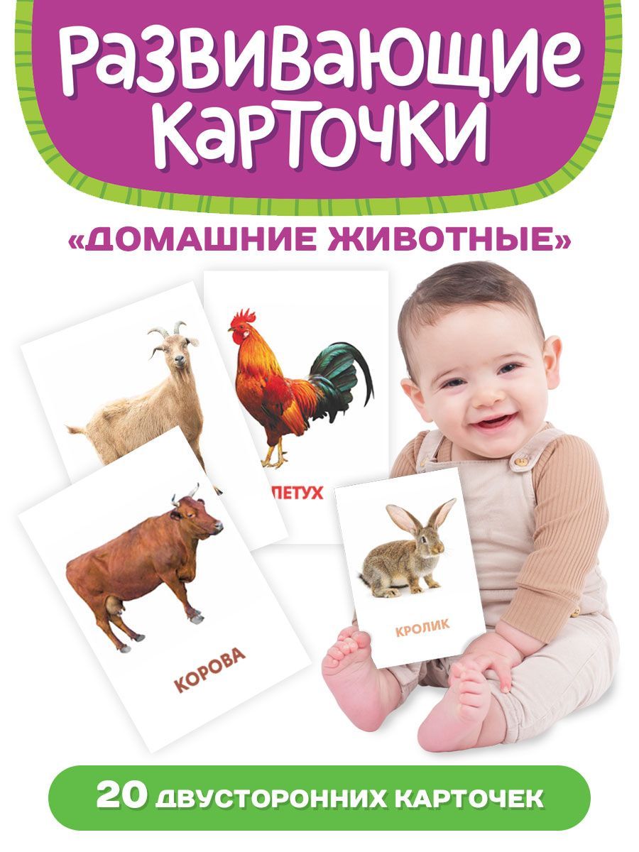 Развивающие карточки Домашние животные, 20 двусторонних карточек кубики развивающие дикие животные 4 шт 50836