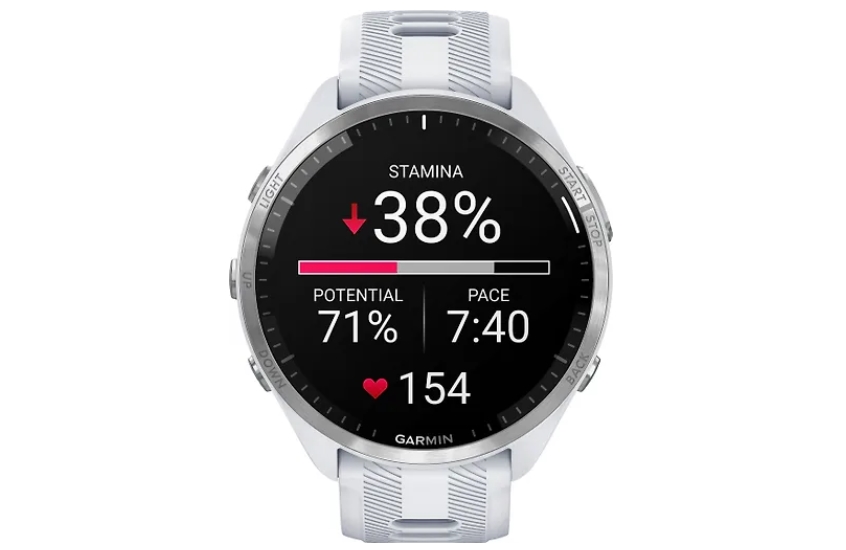 Смарт-часы Forerunner 965 белый/белый (010-02809-11)