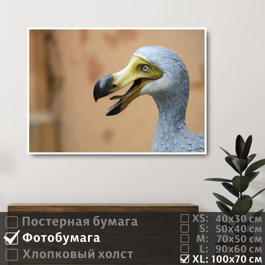 

Постер на фотобумаге ПолиЦентр Мифическая птица до до 100х70 см, МифическаяПтицаДоДо1