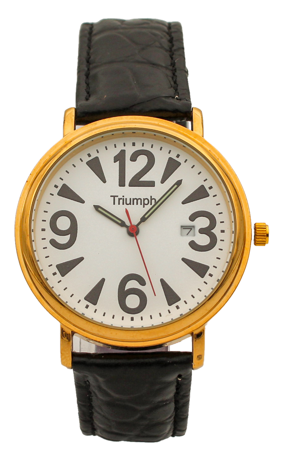 фото Наручные часы унисекс watch triumph triumph черные