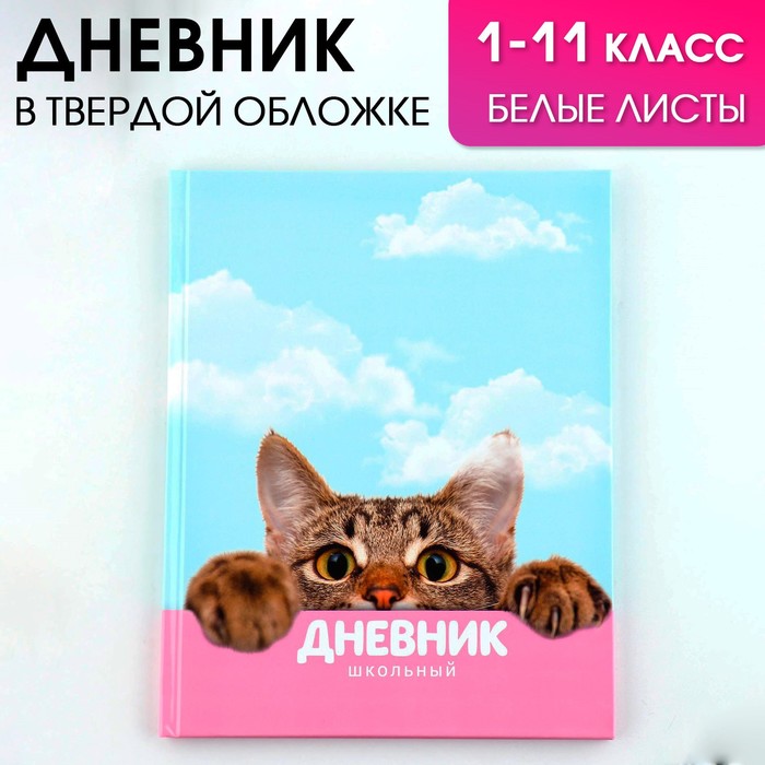 

Дневник школьный для 1-11 класса, в твердой обложке, 40 л. Котик, Разноцветный
