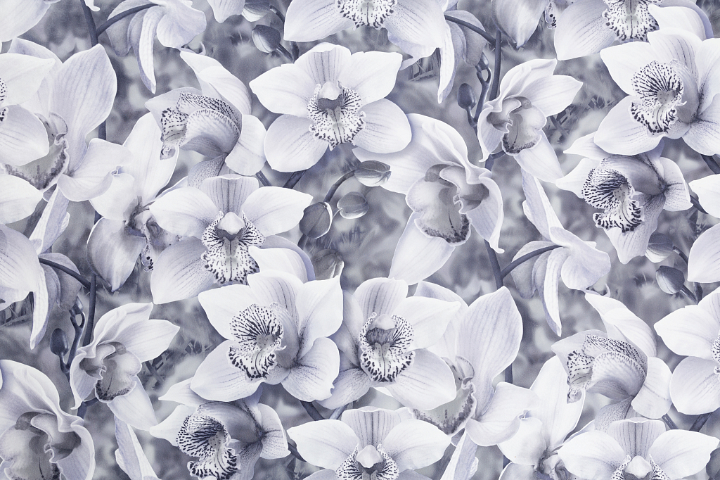 фото Обои виниловые на флизелине kof brands орхидея 46, 1,06*10,05м