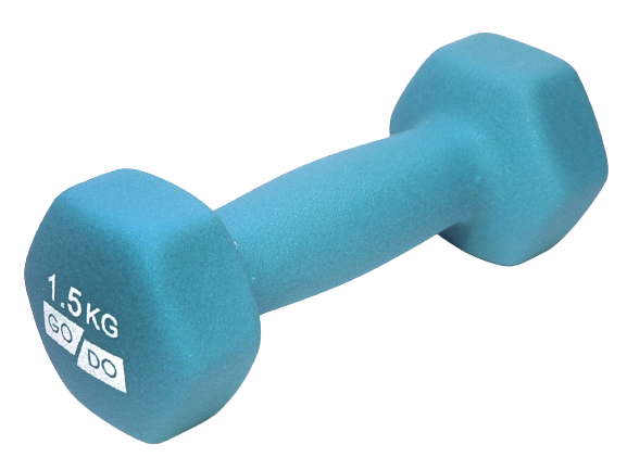 

Неразборная гантель неопреновая GO DO 1 x 1,5 кг, голубой, 2