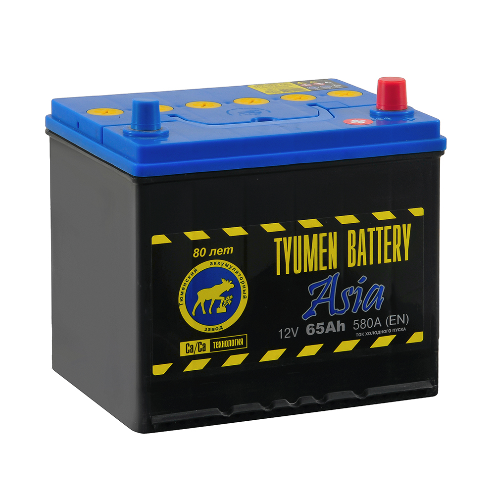 Аккумулятор TYUMEN BATTERY ASIA 65 Ач 580А О/П TNSa65.0