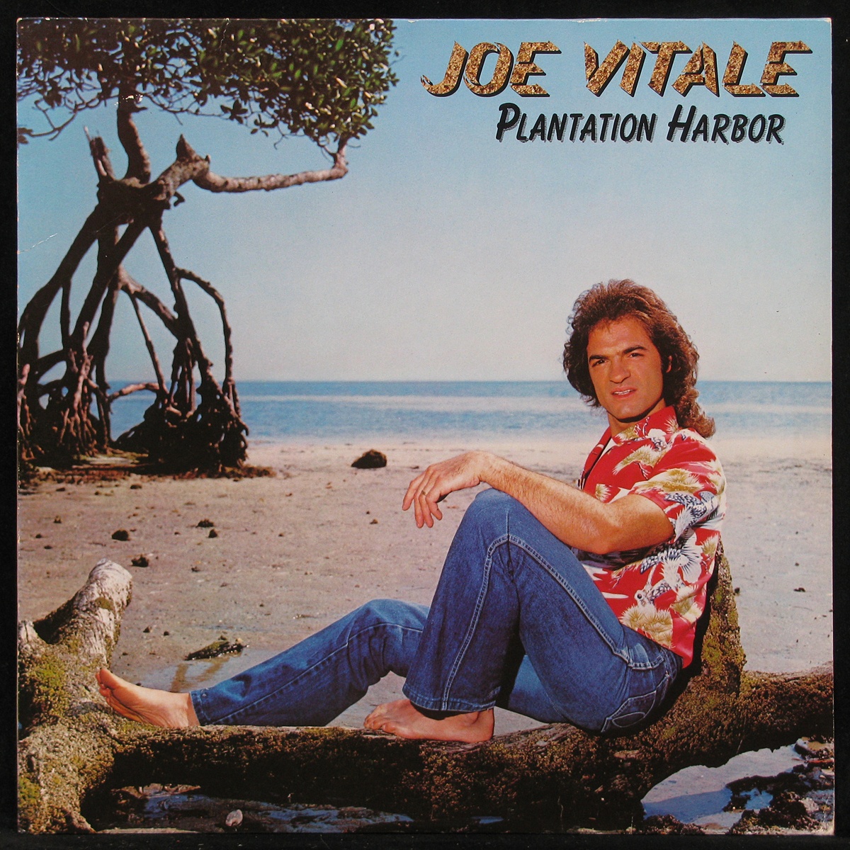 Joe Vitale - Plantation Harbor (LP)