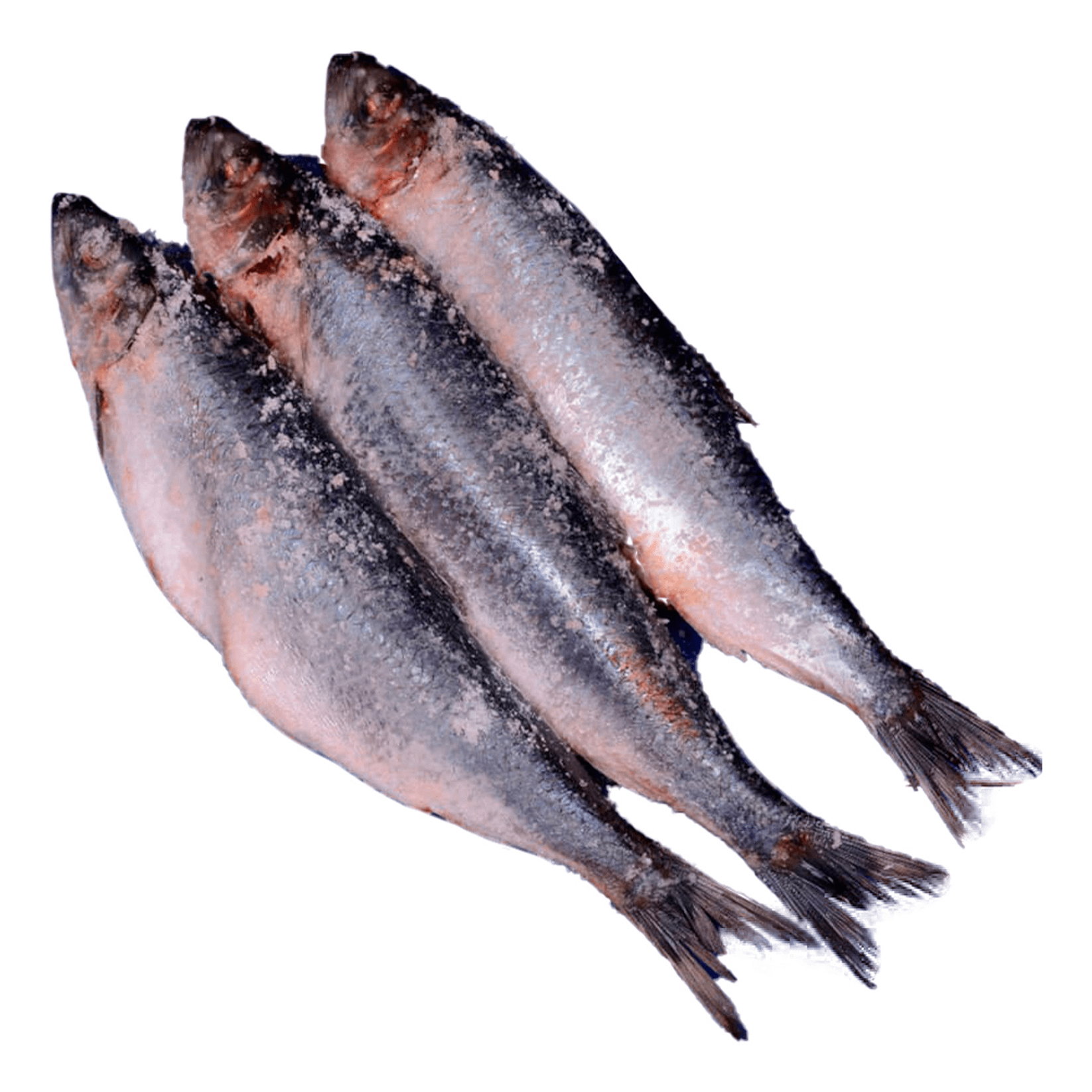 

Сельдь замороженная непотрошеная +-20 кг