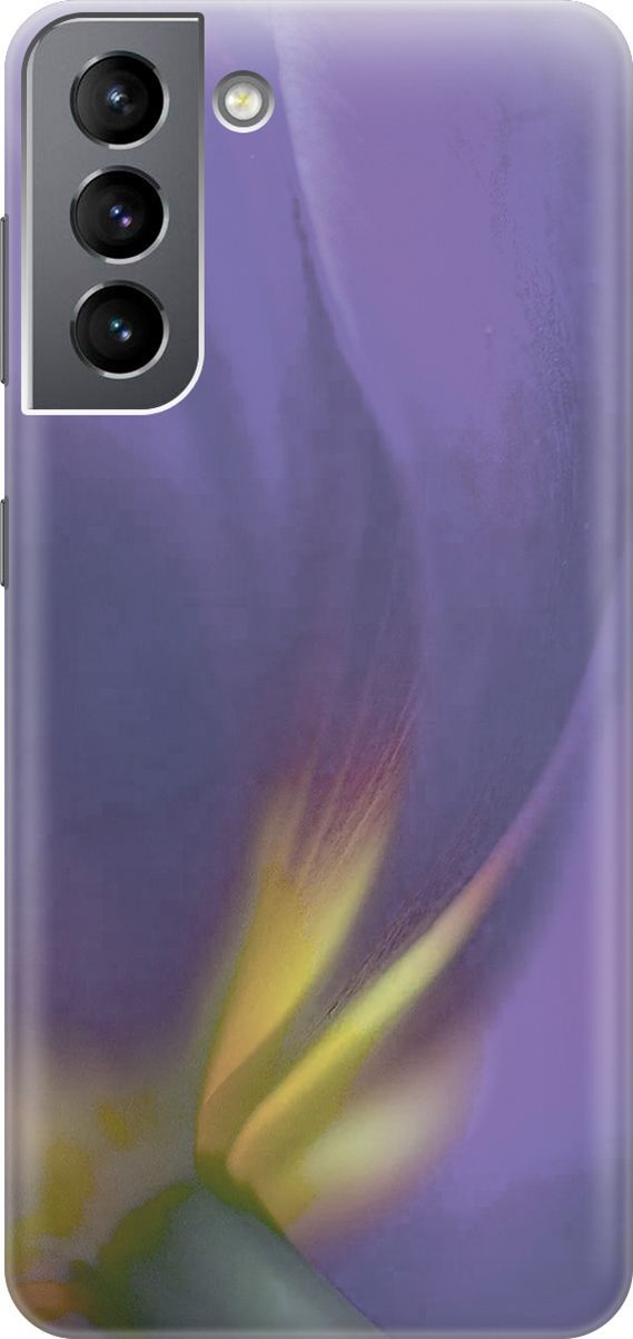 

Чехол на Samsung Galaxy S21 FE 5G с принтом "Фиолетовая фиалка", Желтый;фиолетовый, 3929