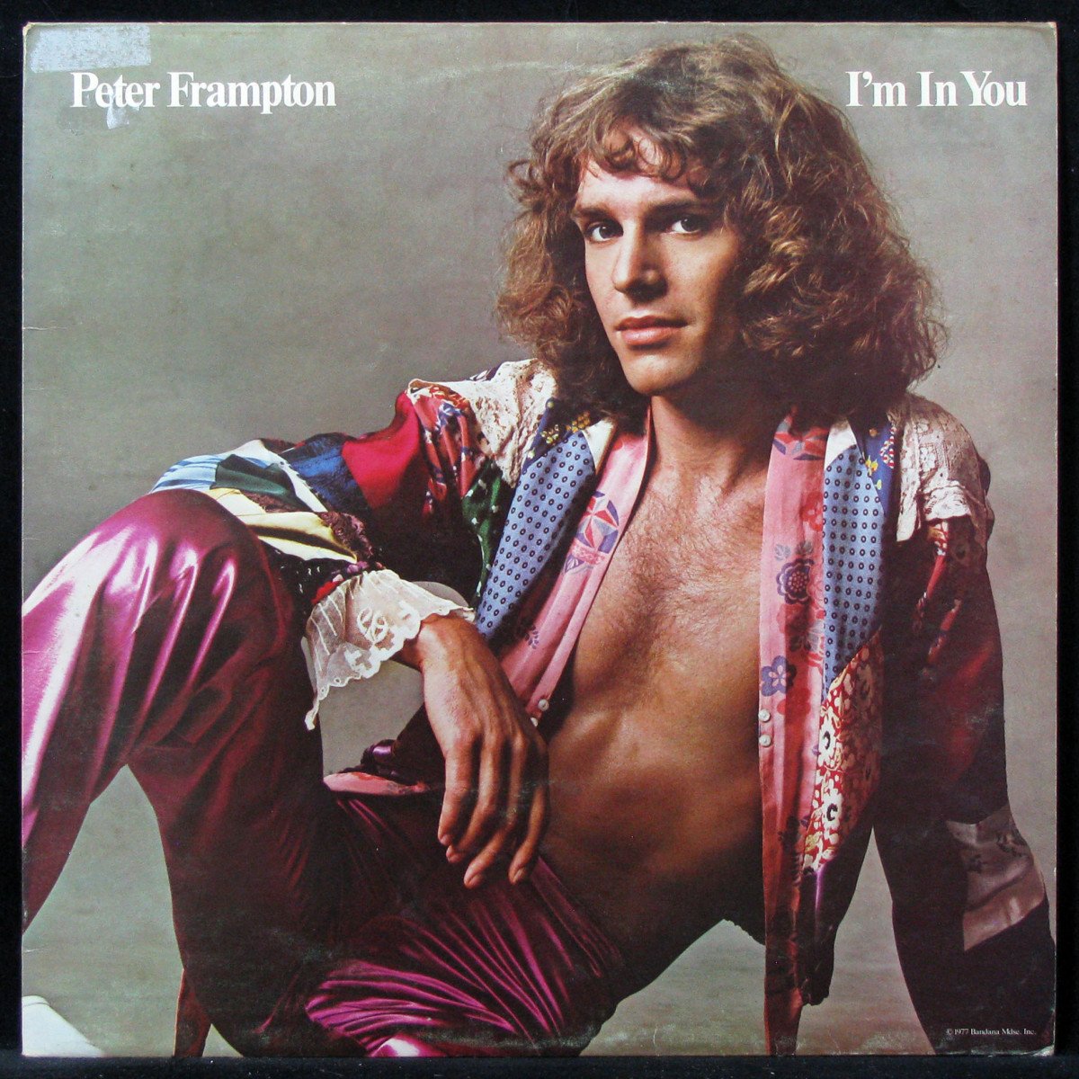 

Peter Frampton - I'm In You (LP)