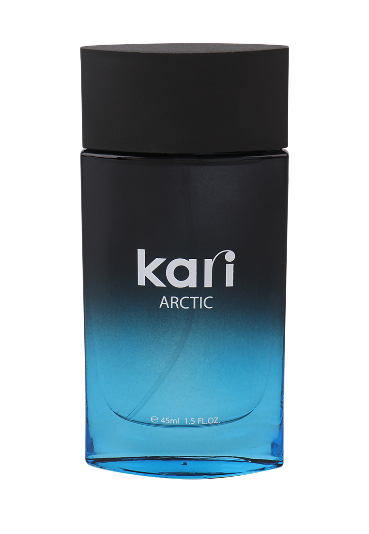 Мужская туалетная вода KARI ARCTIC AC350 арктическое массажное масло arctic massage oil