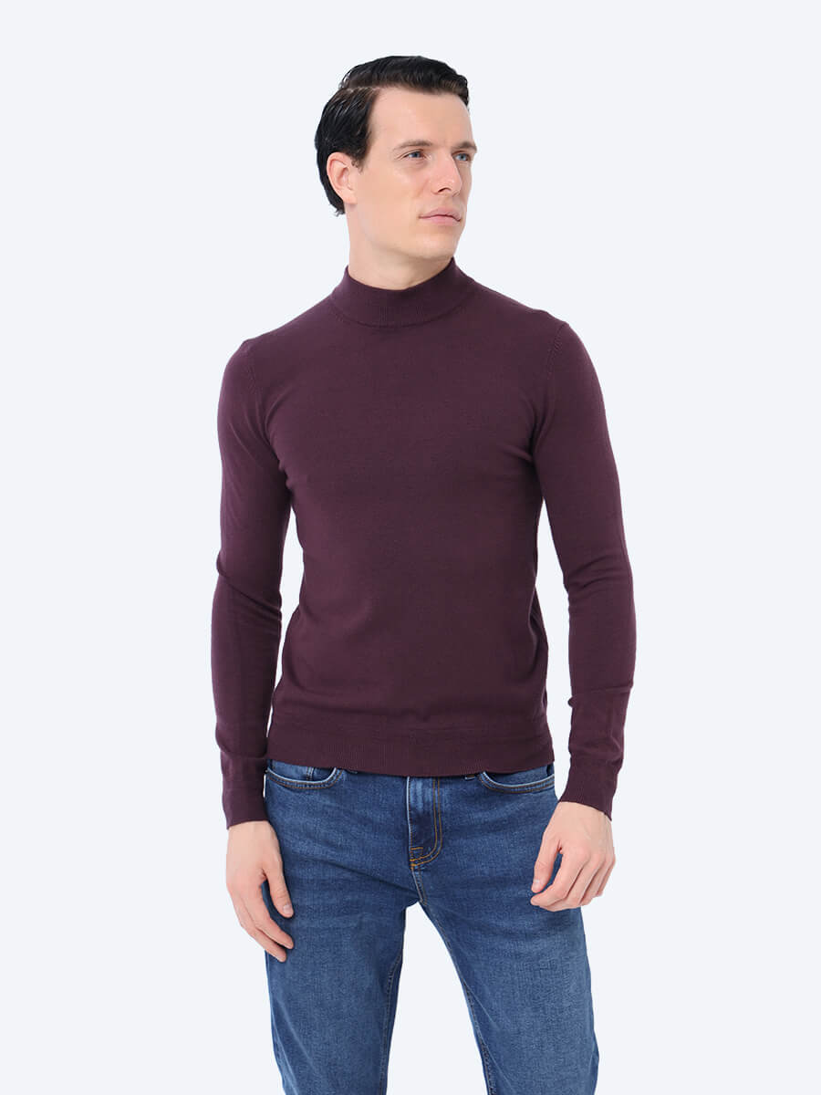 

Водолазка мужская Vitacci TM0102-16 фиолетовая L, Фиолетовый, TM0102-16