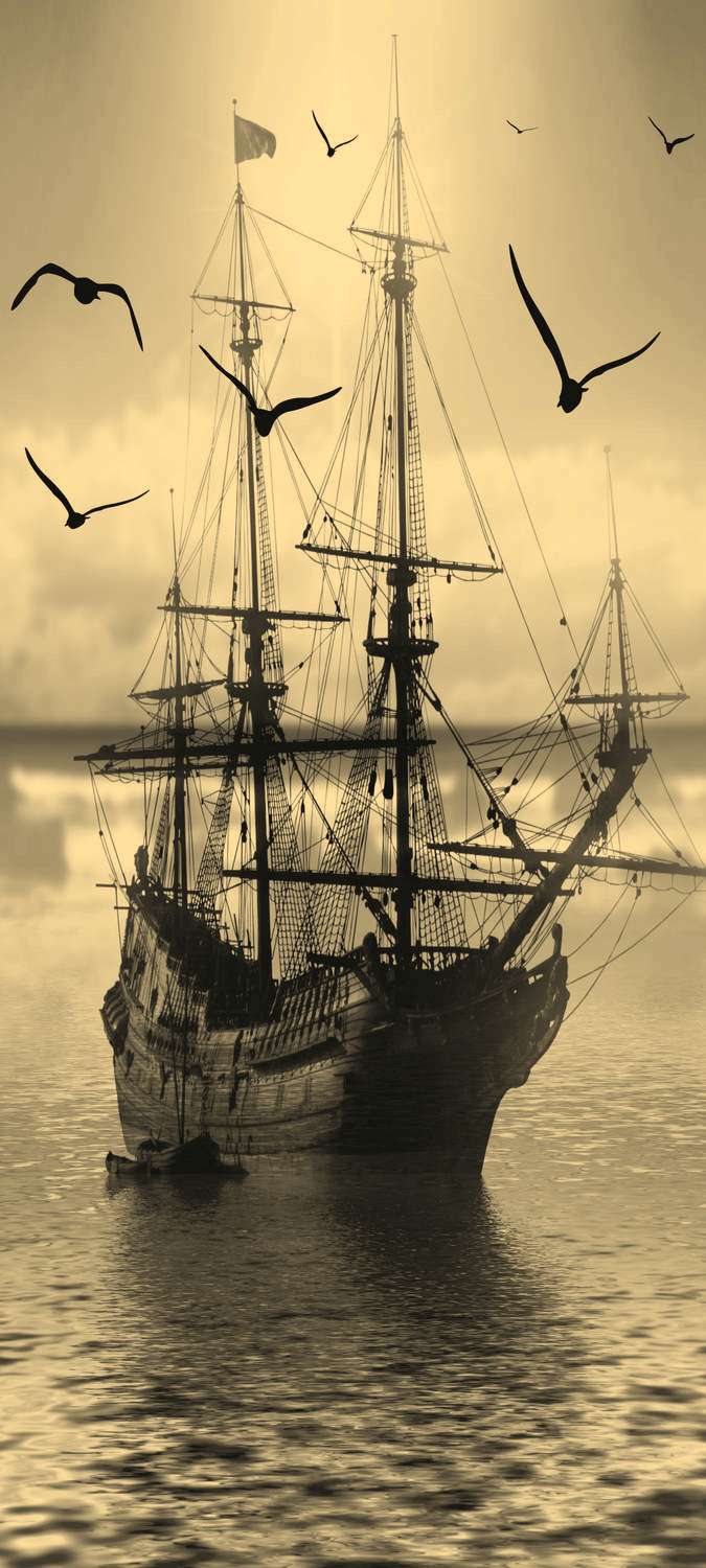 

Самоклеющиеся фотообои "Летучий голландец", 90x200 см, эффект сепия