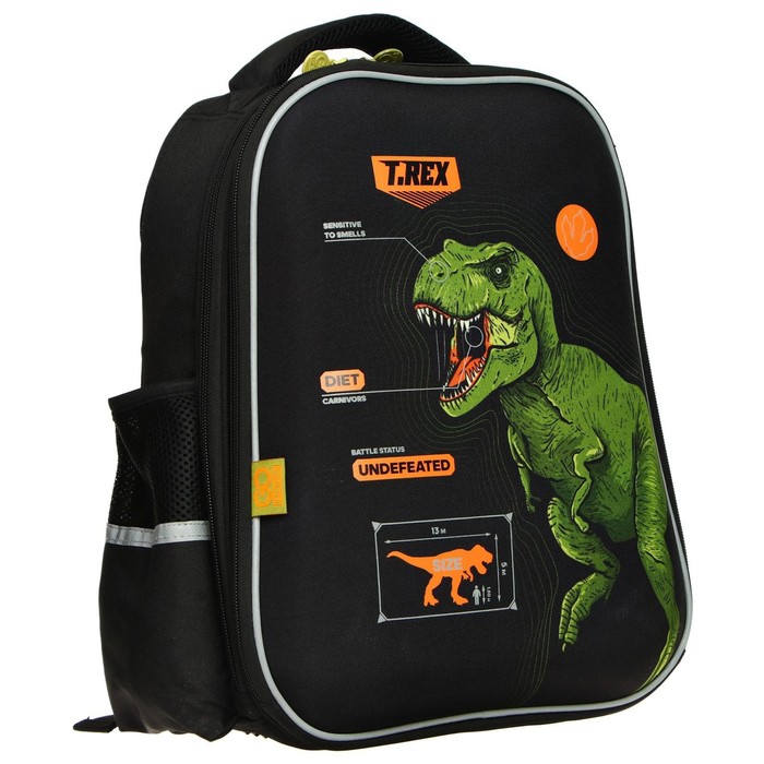 

Рюкзак каркасный GoPack 165, 38 х 28 х 13 см, эргономичная спинка, Dinosaur
