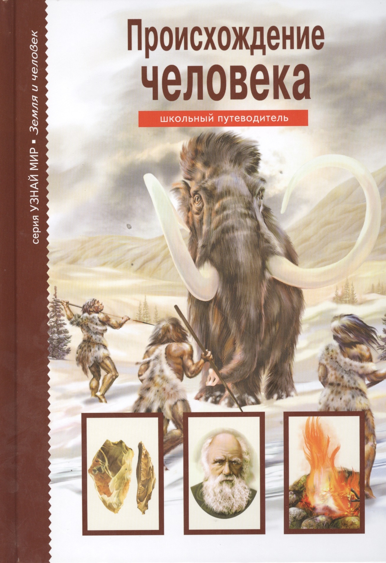 

Происхождение человека. Школьный путеводитель