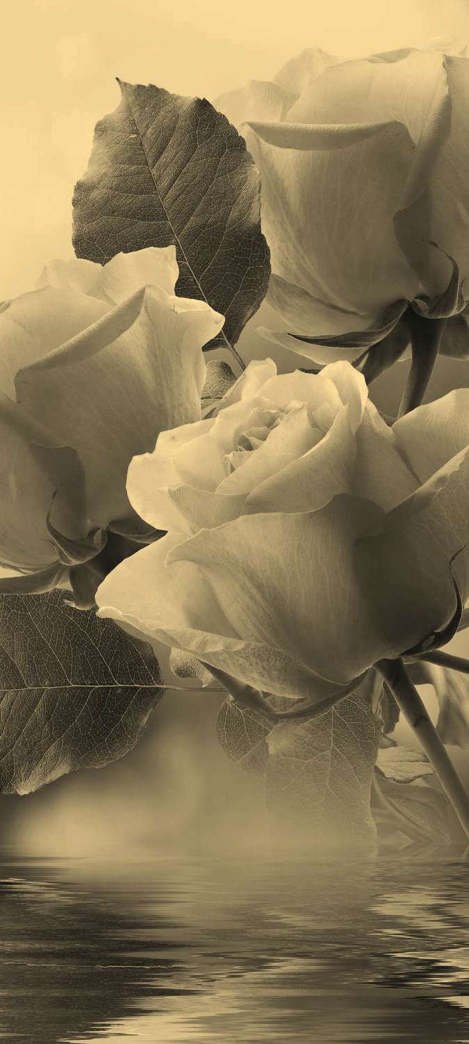 

Самоклеющиеся фотообои "Нежные розы", 90x200 см, эффект сепия, отраженный