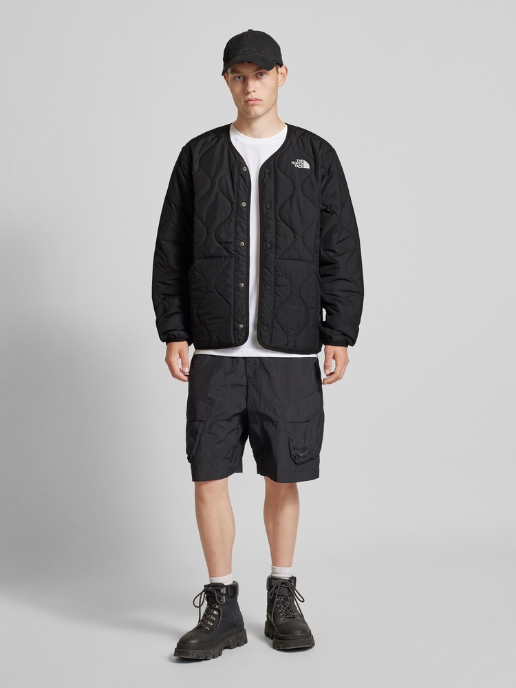 

Куртка мужская The North Face NF0A852A черная L, Черный, NF0A852A