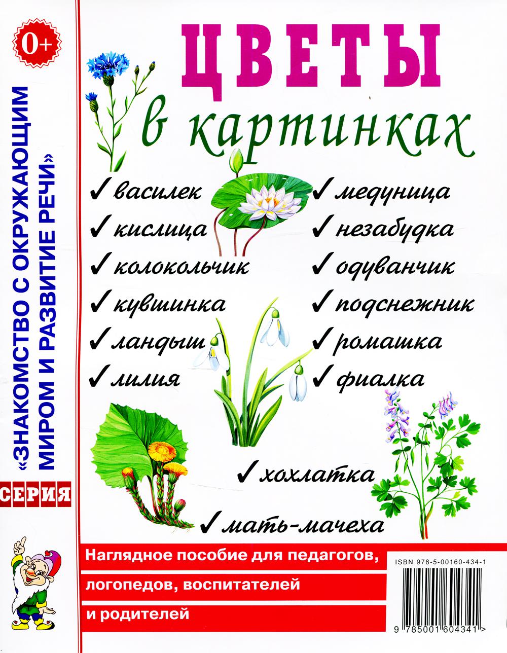 

Цветы в картинках