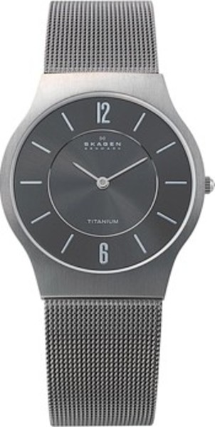 фото Наручные часы мужские skagen 233lttm