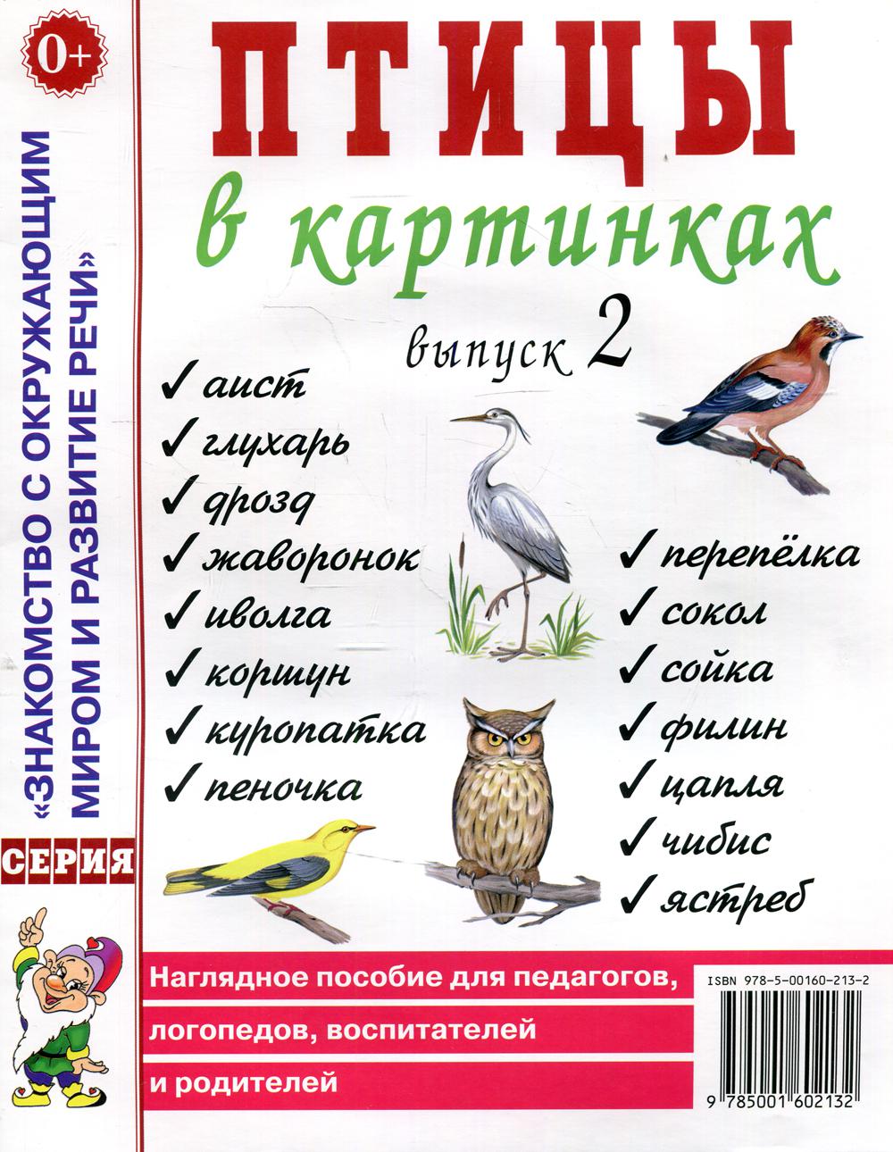 фото Книга птицы в картинках гном