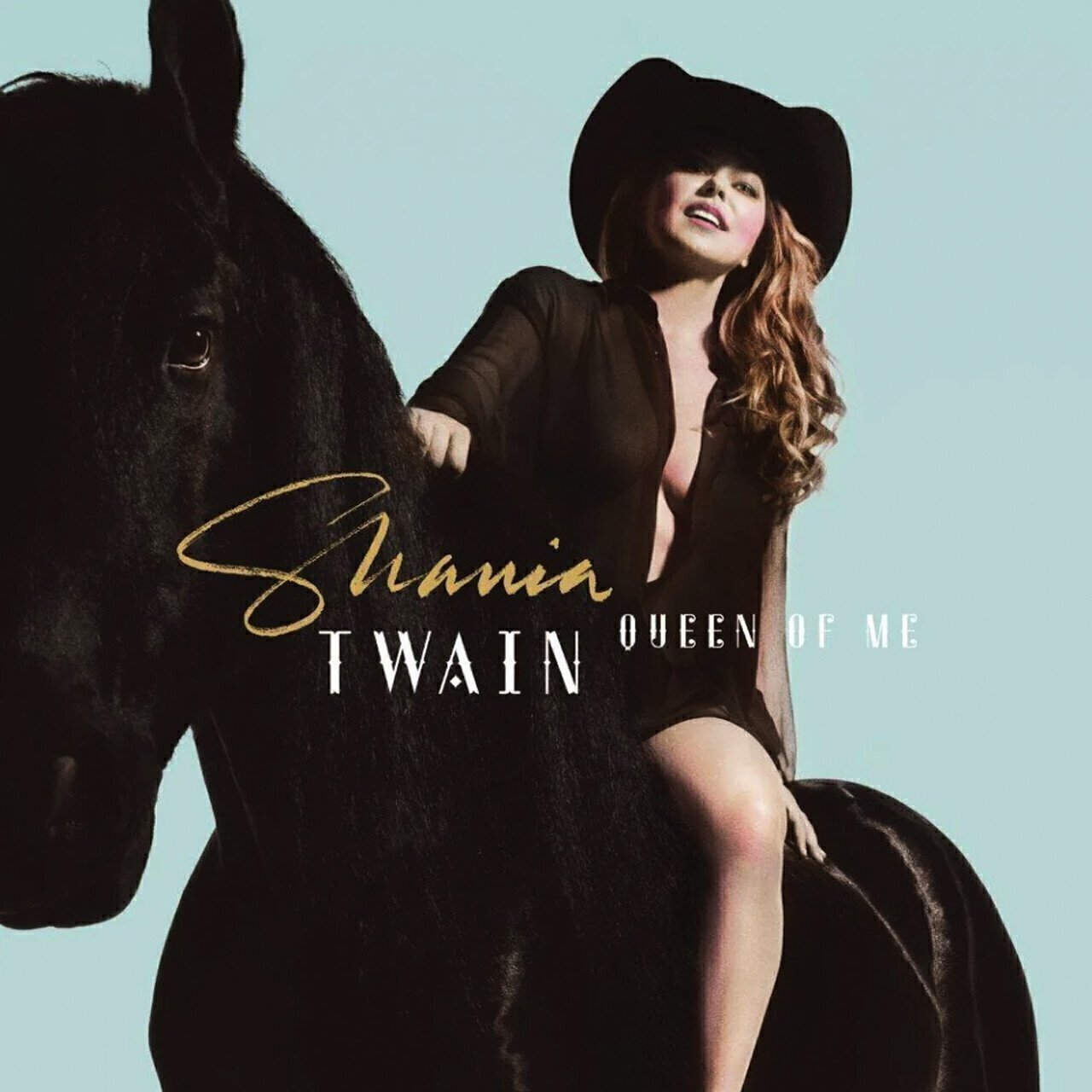 Shania Twain Queen Of Me (LP)