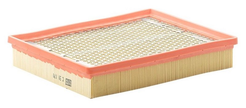 

Фильтр воздушный двигателя MANN-FILTER C30170