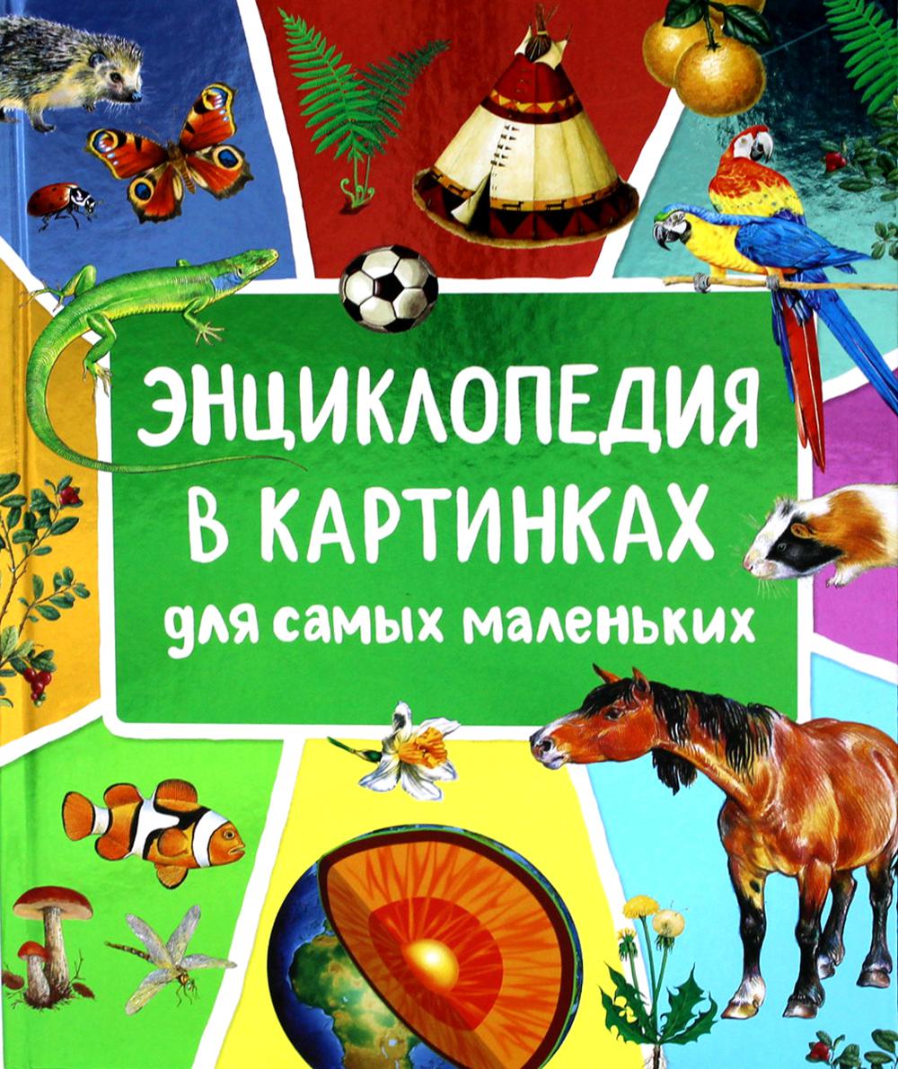 фото Книга энциклопедия в картинках для самых маленьких росмэн