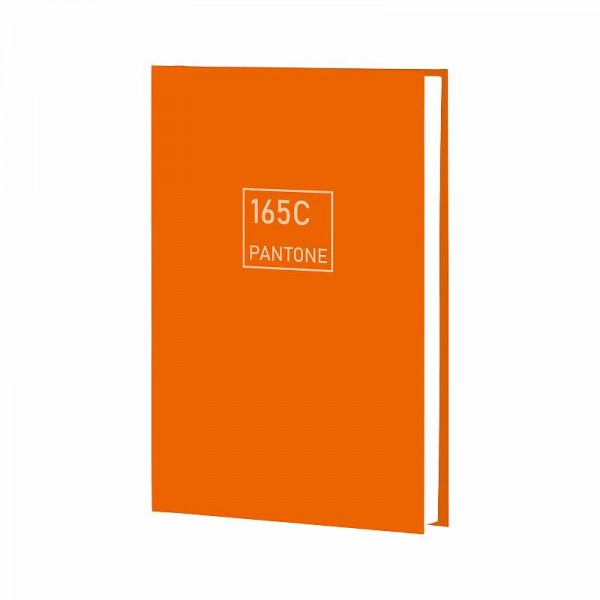

Записная книжка Канц-Эксмо Рыжая лиса, А5+, 96 листов, 1шт, РА-00082993