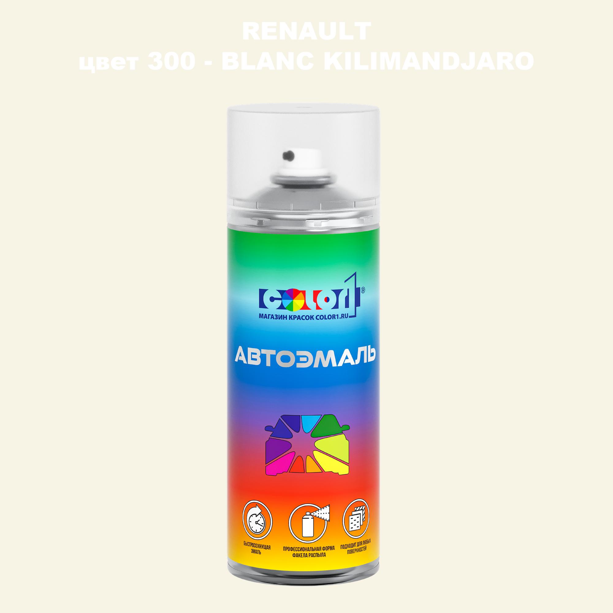 

Аэрозольная краска COLOR1 для RENAULT, цвет 300 - BLANC KILIMANDJARO, Прозрачный