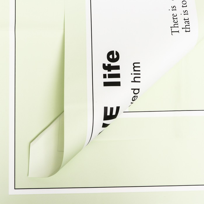 

Пленка для цветов "Любовь..", 58 х 58 см, зелёная