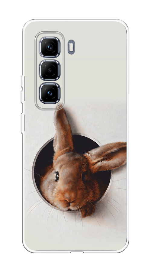 

Чехол на Infinix Hot 50 Pro Plus Любопытный кролик, Серый;коричневый, 3107050-1