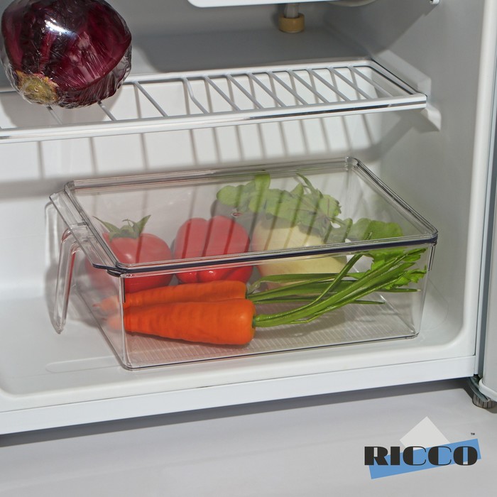 

Контейнер для холодильника с крышкой и ручкой RICCO, 32x20,5x10 см, цвет прозрачный