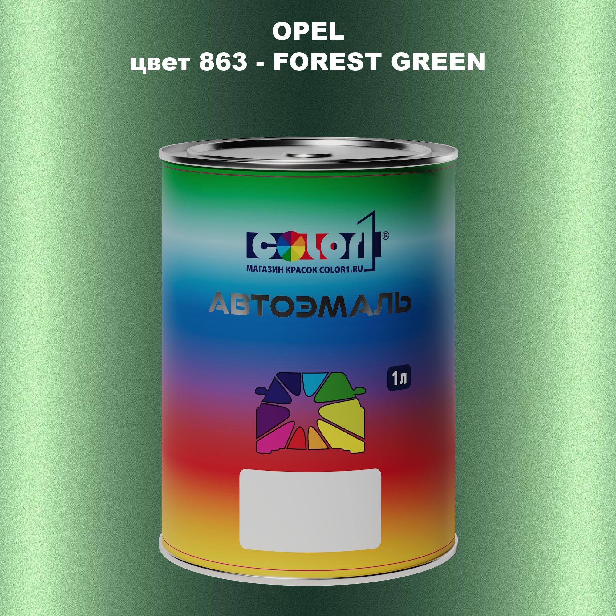 

Автомобильная краска COLOR1 для OPEL, цвет 863 - FOREST GREEN, Прозрачный