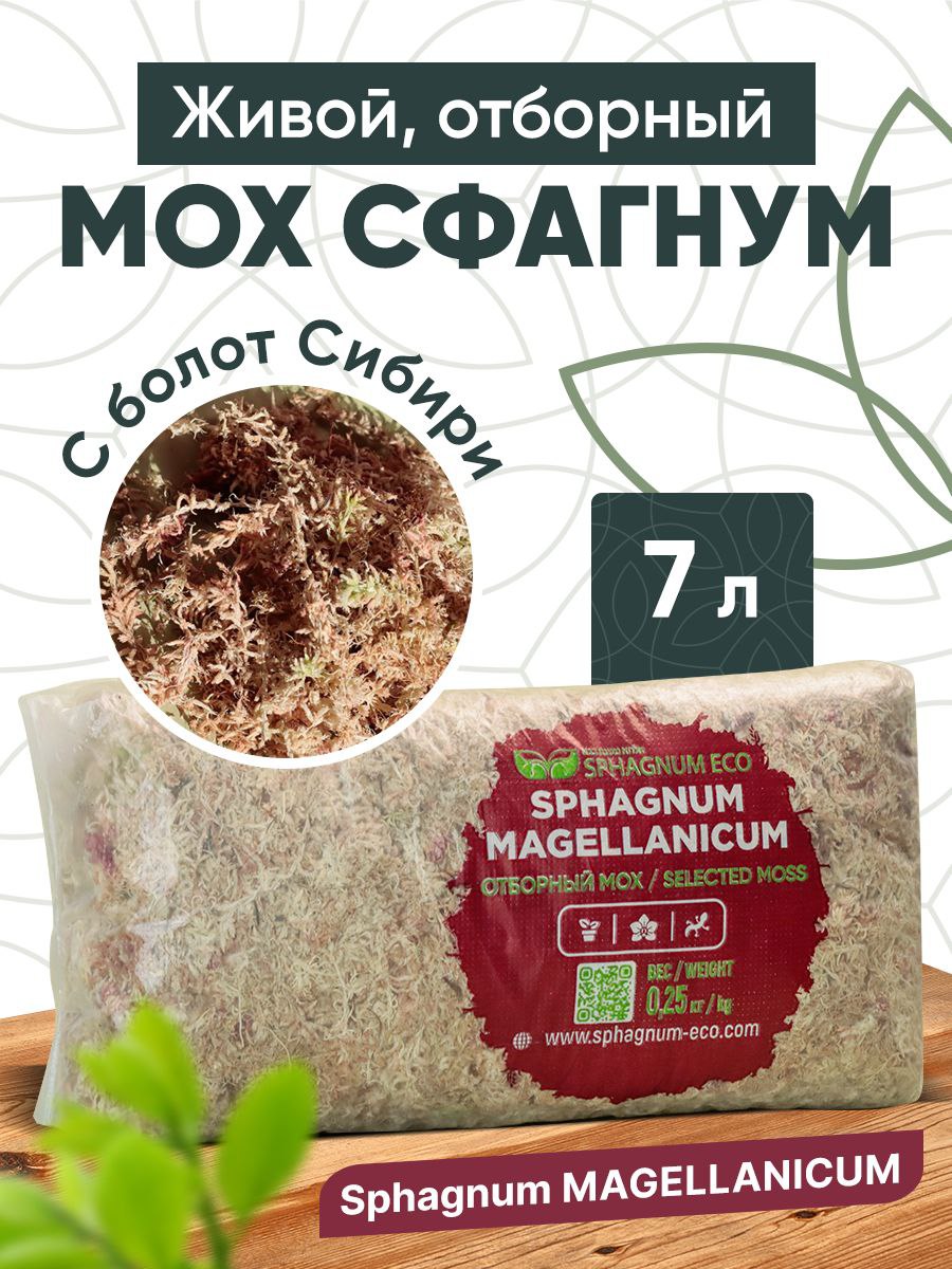 Мох сфагнум Sphagnum ECO Magellanicum живой, SM0250, отборный в пакете 7 л., 0,250 гр