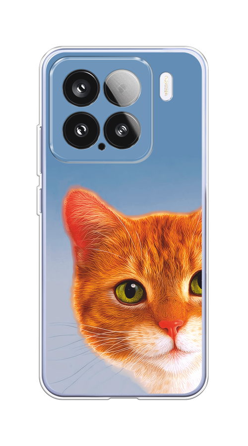 

Чехол на Xiaomi 15 Любопытный котик, Коричневый, 323650-1