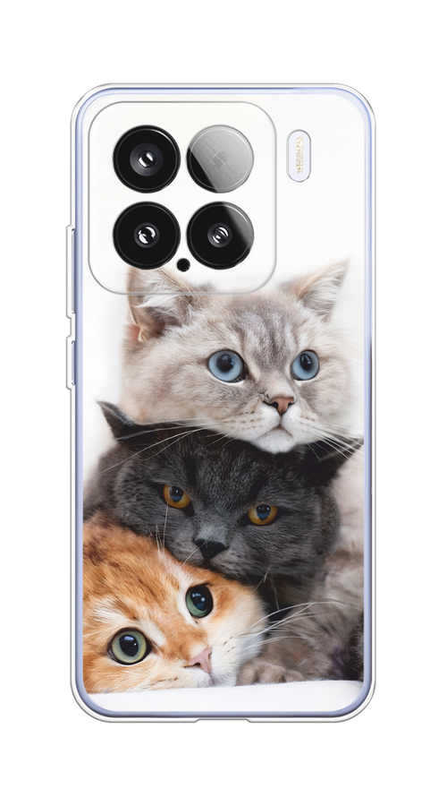 

Чехол на Xiaomi 15 Пушистые мордашки, Серый;черный;оранжевый, 323650-1