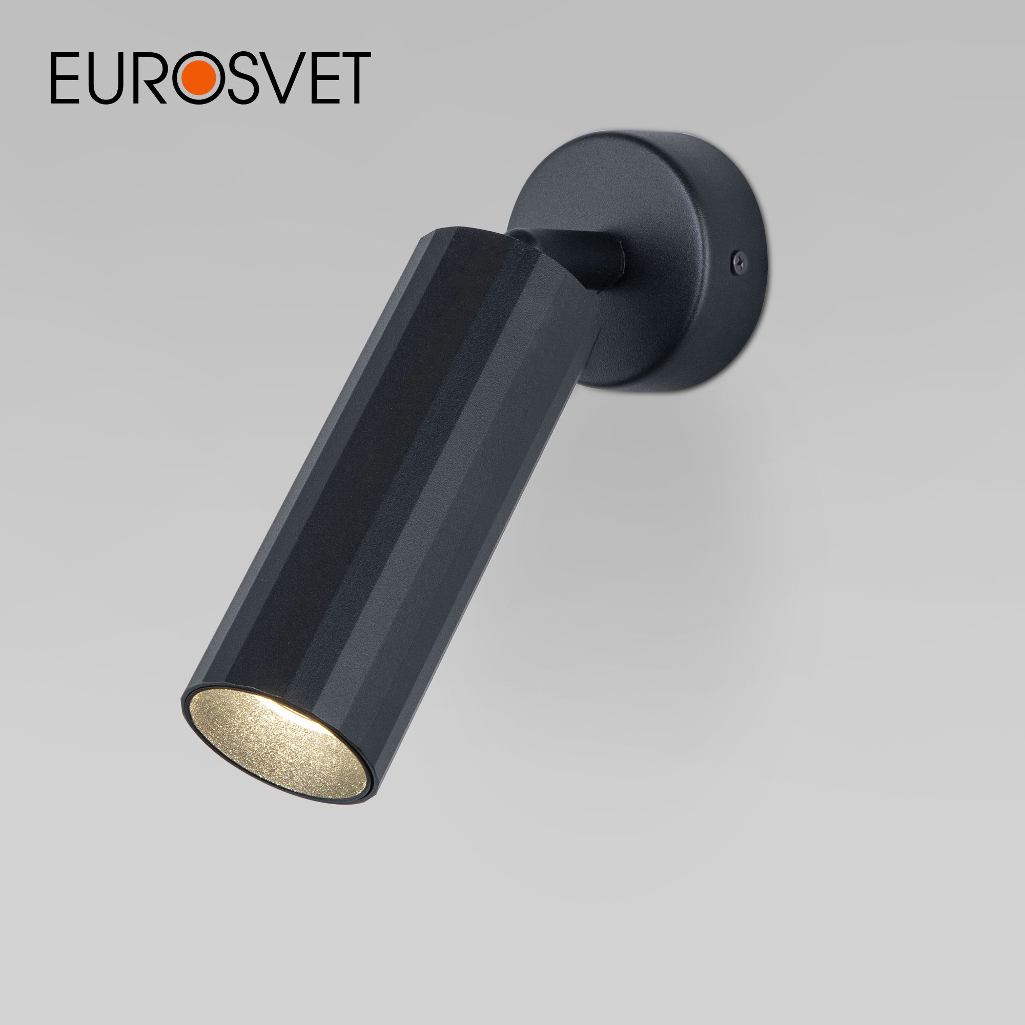 

Настенный светодиодный светильник Eurosvet Arris 20098/1 LED черный с поворотным плафоном