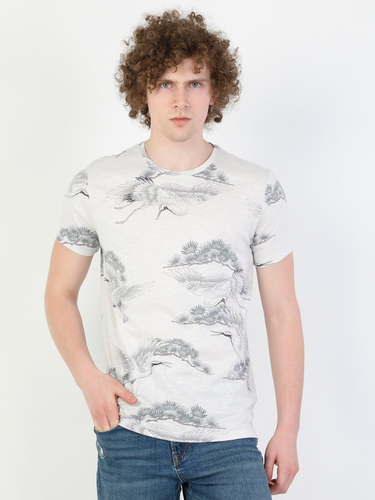 

Футболка мужская Colins CL1047737_Q1.V1TN серая XL, CL1047737_Q1.V1TN