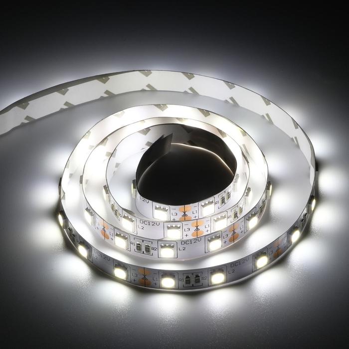 фото Светодиодная лента ecola pro 1 м, ip20, smd5050, 60 led/м, 14.4 вт/м, 12 в, 4200к