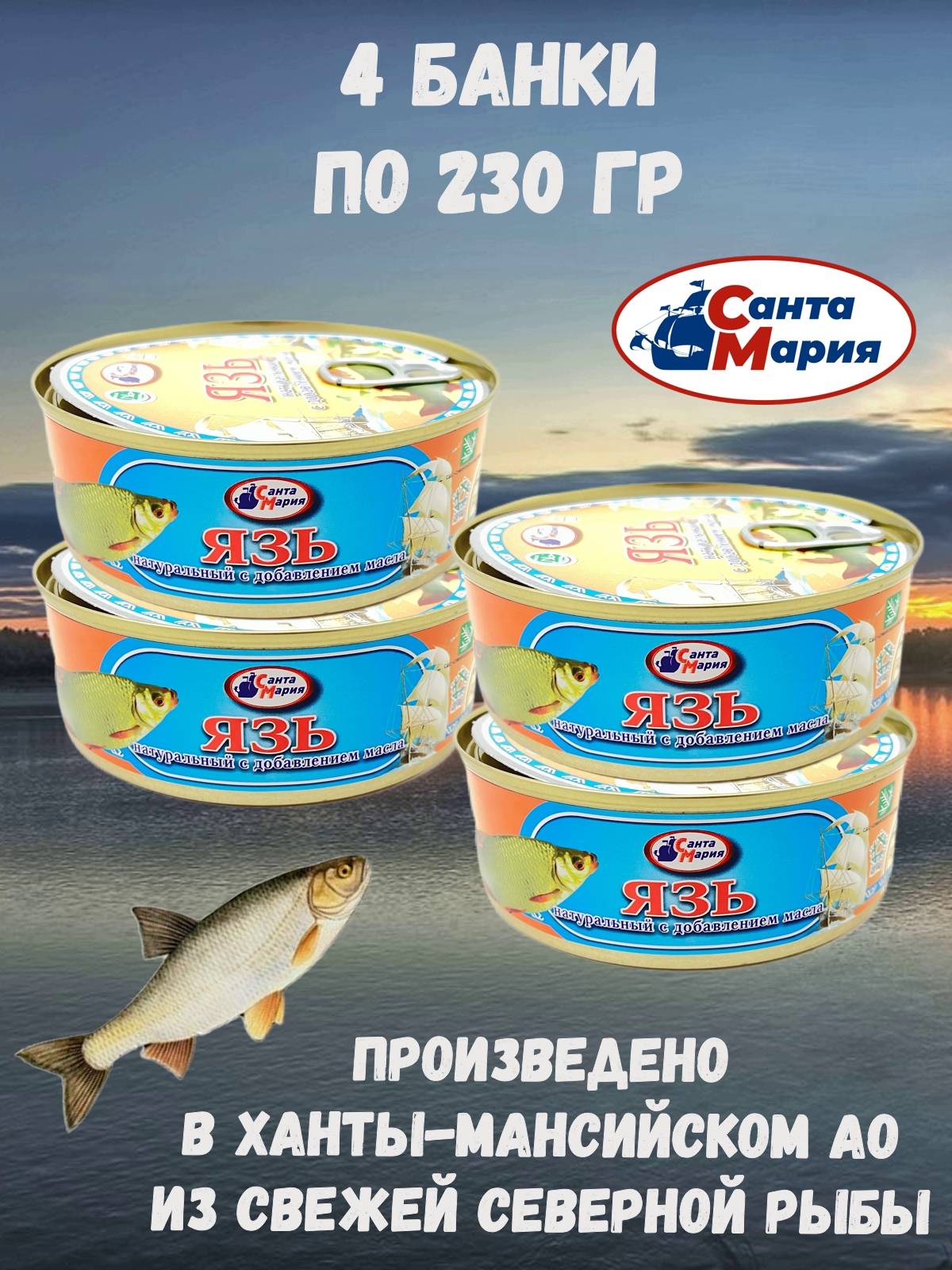 

Язь натуральный Санта Мария с добавлением масла, 4 шт по 230 г