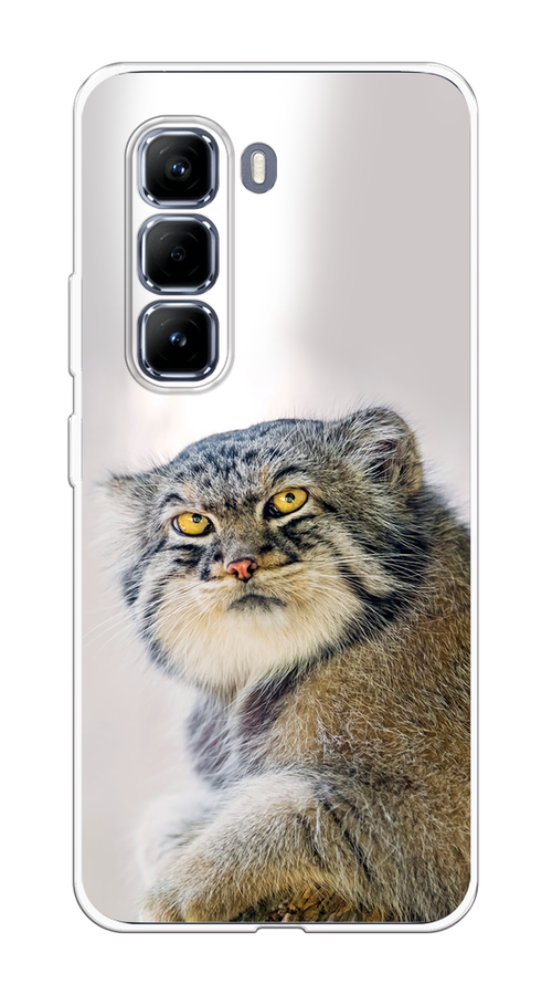 

Чехол на Infinix Hot 50 Pro "Кот манул 1", Серый;белый;желтый, 3106950-1