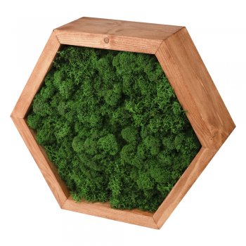 

Декоративная полка - пано со мхом Сота настенная серия PINE, 30х26х8,5 см, можжевельник