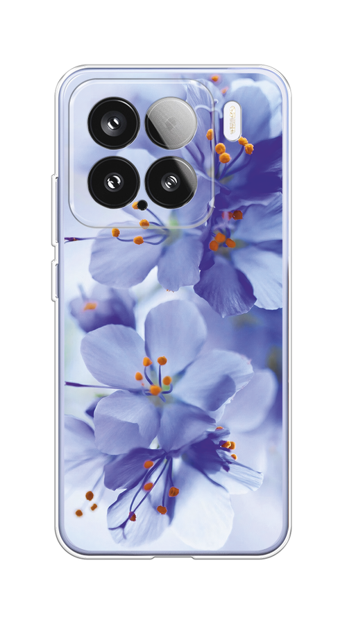 

Чехол на Xiaomi 15 "Фиолетовые цветки", Фиолетовый;синий, 323650-1