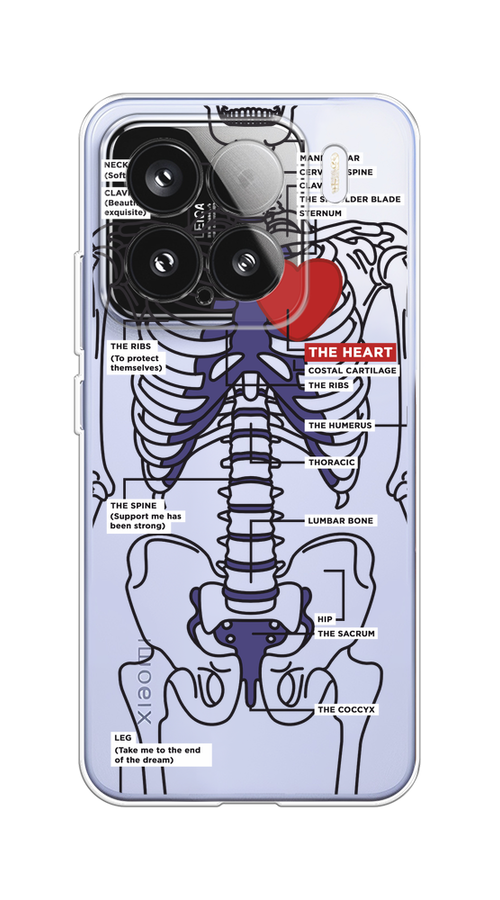 

Чехол на Xiaomi 15 "Скелет человека", Прозрачный;синий;красный, 323650-1