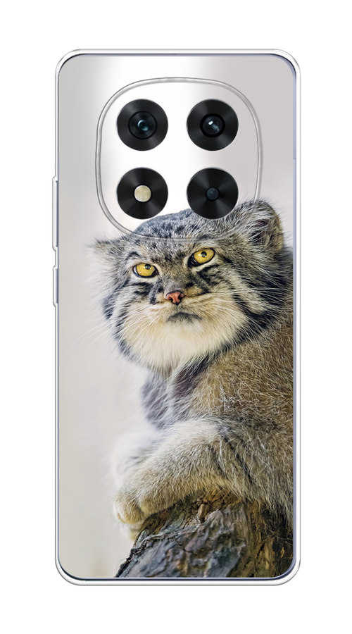 

Чехол на Xiaomi Redmi Note 14 Pro 5G "Кот манул 1", Серый;белый;желтый, 323950-1